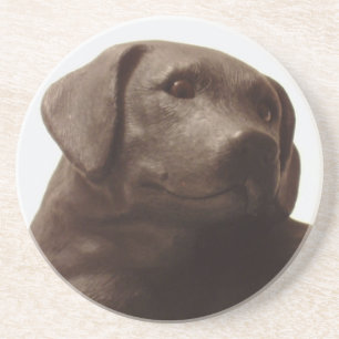 Everyone Loves a Labrador Retriever Coaster