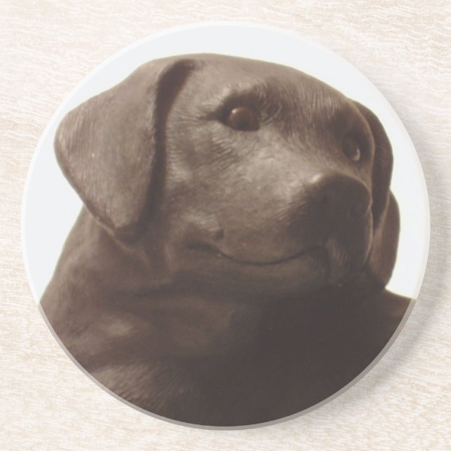 Everyone Loves a Labrador Retriever Coaster (Front)