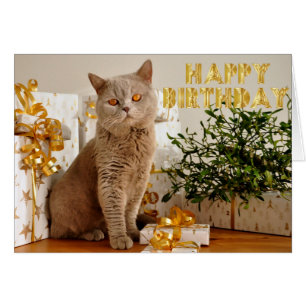 Everyone loves gifts