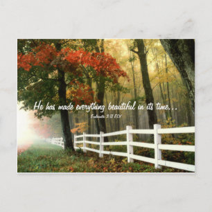Everything Beautiful Verse Postcard