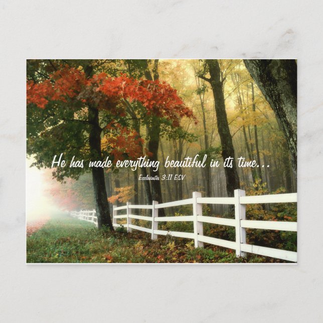 Everything Beautiful Verse Postcard (Front)