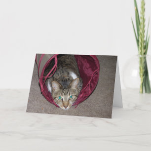 Everything Happy Card