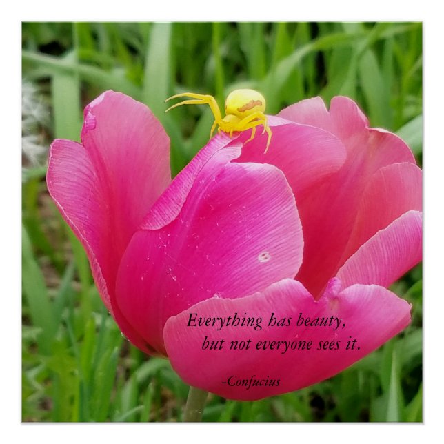Everything Has Beauty Confucius Spider on Tulip Poster (Front)