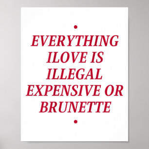 Everything I Love Is Illegal Expensive Or Brunette Poster