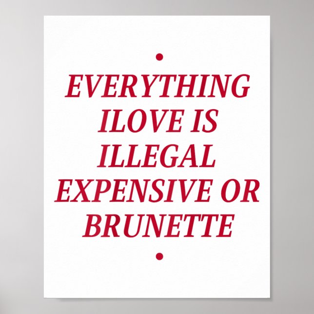Everything I Love Is Illegal Expensive Or Brunette Poster (Front)