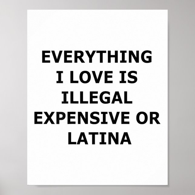 Everything I Love Is Illegal Expensive Or Latina ( Poster (Front)