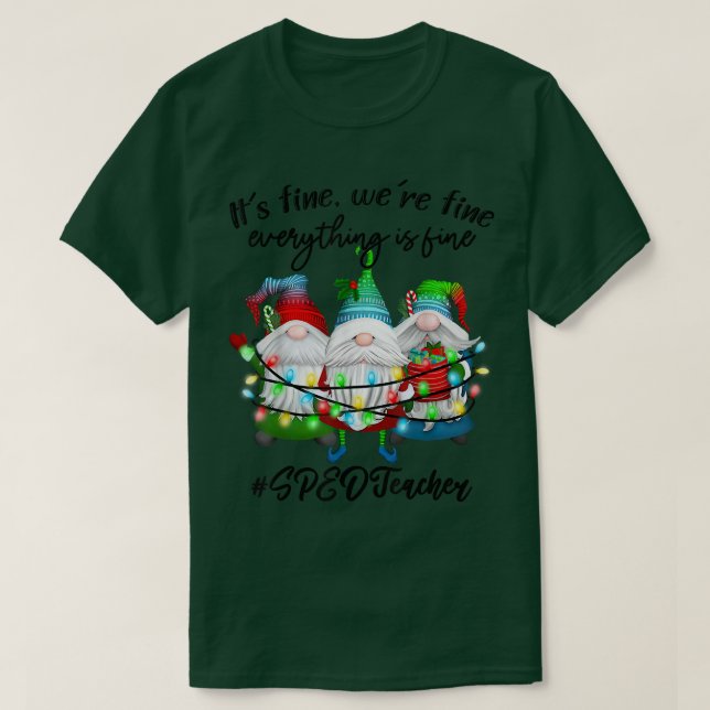 Everything Is Fine Special Education SPED Teacher  T-Shirt (Design Front)
