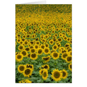 'Everything is going to be all right' card