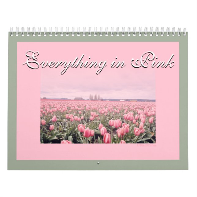 Everything is in Pink 2018 Calendar (Cover)