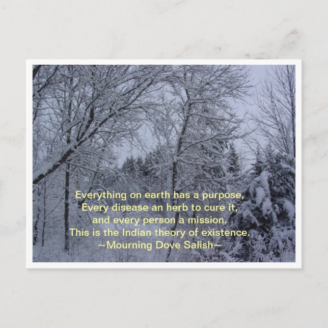 Everything On Earth Postcard (Front)