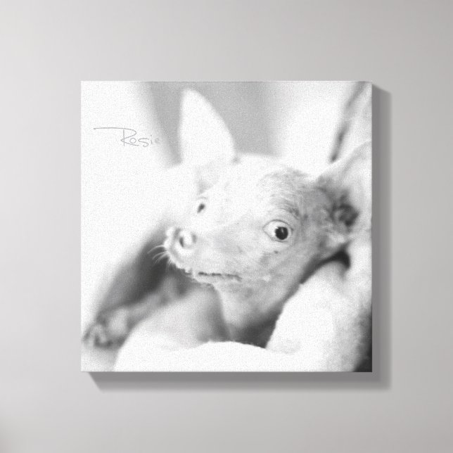 Everything Rosie Photo Canvas Print (Front)