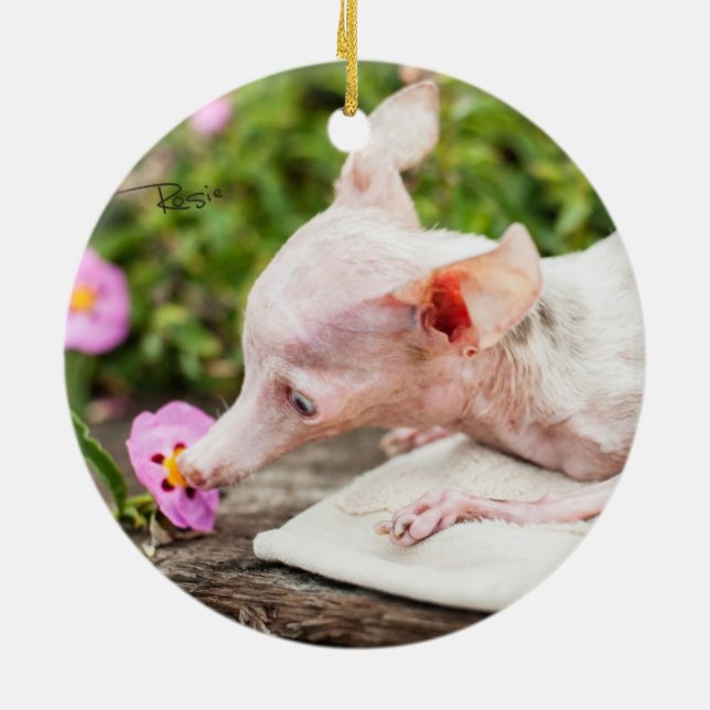 Everything Rosie Photo Ornament (Back)