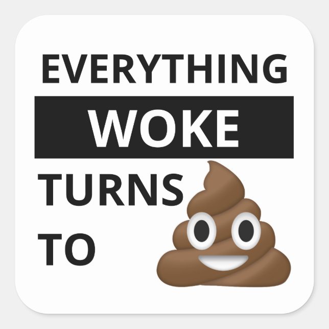 EVERYTHING WOKE TURNS TO S#!T (poop emoji) Square Sticker (Front)