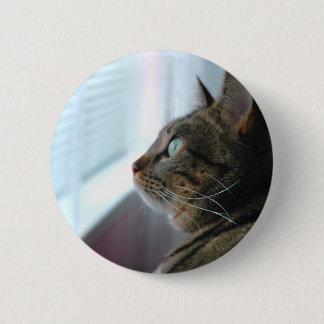 Evey the Kitty contemplates outside 6 Cm Round Badge