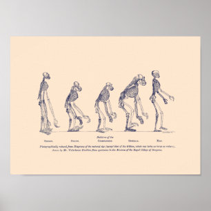 Evidence as to Man’s Place in Nature Poster