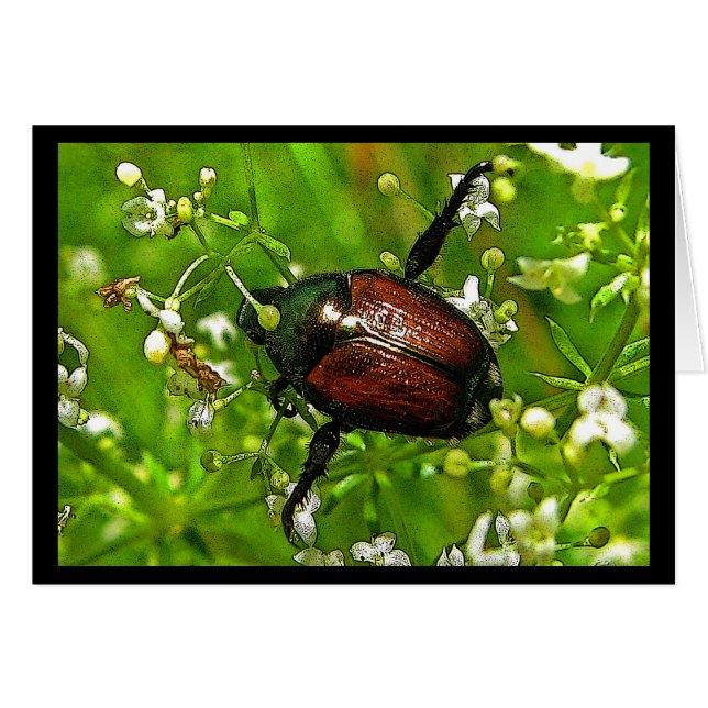 Evil Beauty Japanese Beetle Insect (Front Horizontal)