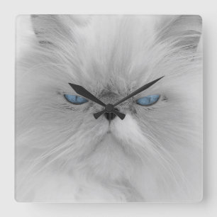 Evil Grandfather of Grumpy Cat Square Wall Clock