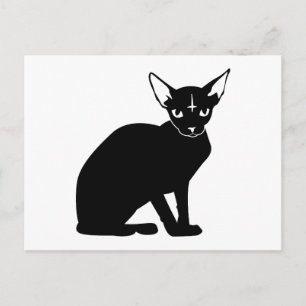 Evil Kitty Postcard