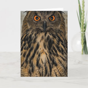 Evil looking owl card