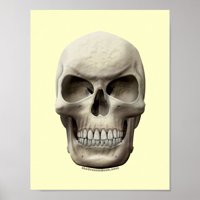 Evil Skull Poster (Front)