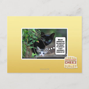 evil things postcard