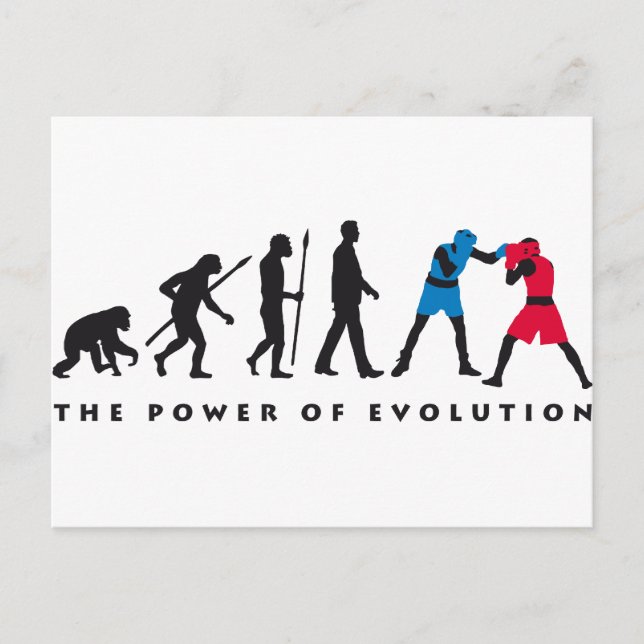 evolution box sport postcard (Front)