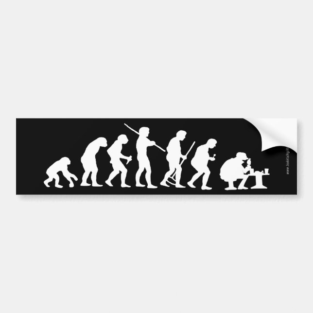 Evolution... Bumper Sticker (Front)
