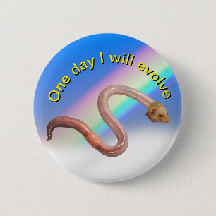 Evolution button