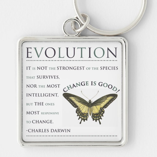 Evolution Change Key Ring (Front)