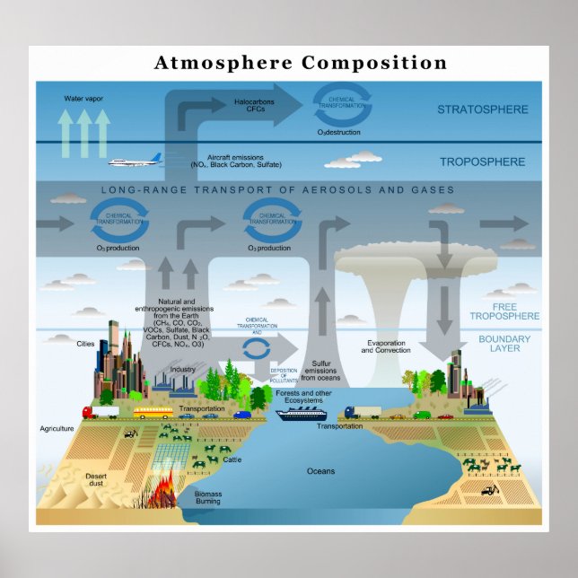 Evolution Cycles of Elements in Earth's Atmosphere Poster (Front)