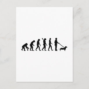 Evolution Dachshund Postcard