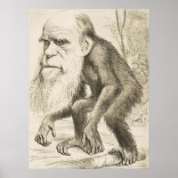 EVOLUTION DARWIN Charles Robert Darwin 1871 carica