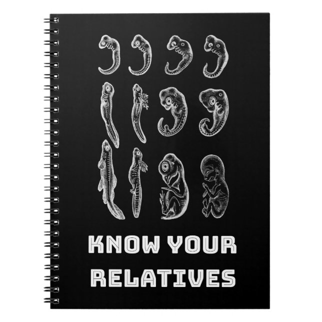 Evolution Embryogenesis Notebook (Front)