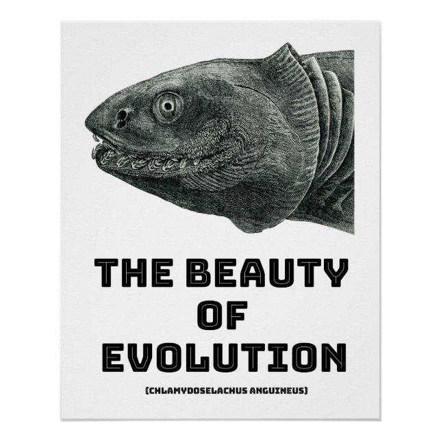 Evolution Frilled Shark Beauty Poster (Front)