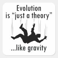 Evolution is just a theory stickers