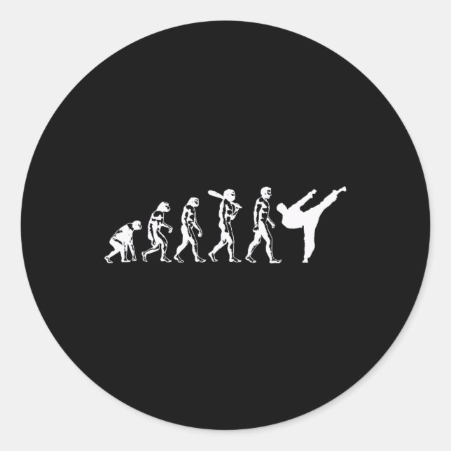 Evolution Of Karate Martial Arts Kickboxing Taekwo Classic Round Sticker (Front)