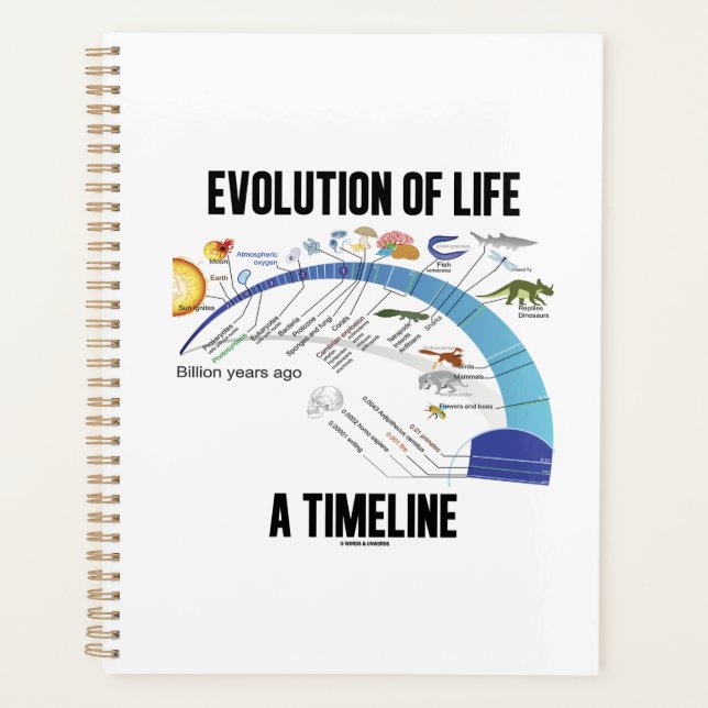 Evolution Of Life A Timeline Biology Planner (Front)