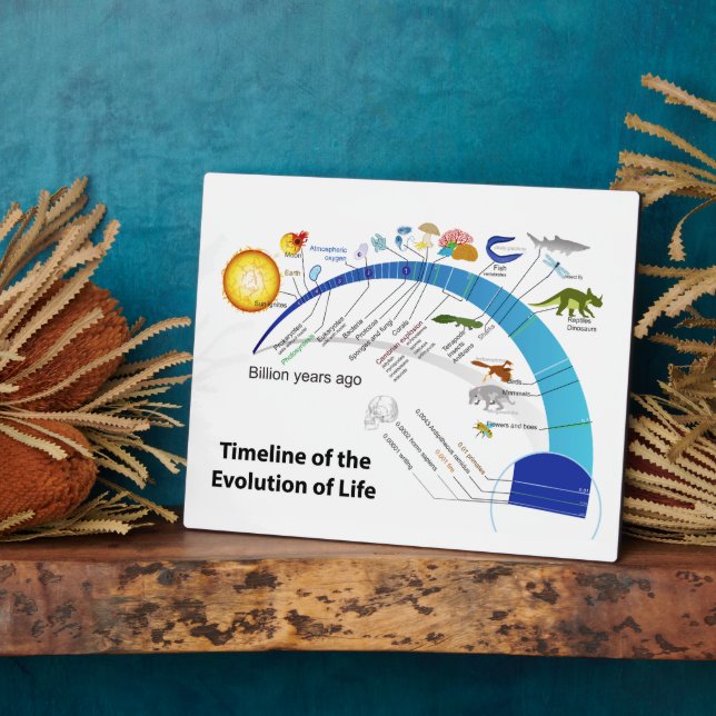 Evolution of Life on Earth Timeline Diagram Plaque (Side)