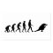 Evolution of Photography