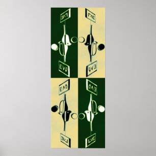 Evolution of Yin and Yang Poster