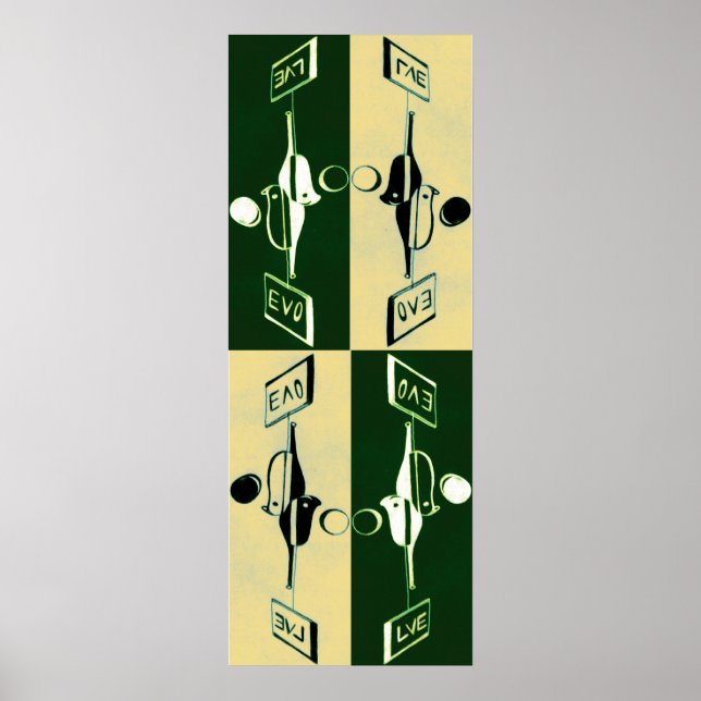 Evolution of Yin and Yang Poster (Front)