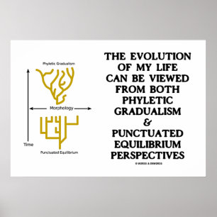 Evolution Phyletic Gradualism Punctuated Equilibrm Poster