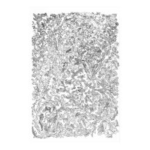 Evolution Poster - Tree of Life - Black and White