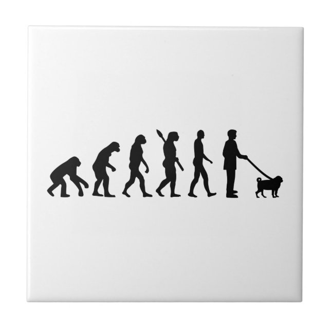 Evolution Pug Tile (Front)