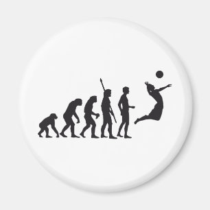evolution volleyball magnet