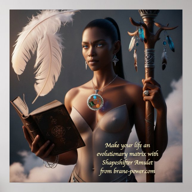 Evolutionary Matrix Poster (Front)