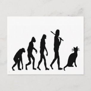 Evoultion Cat "We Believe"-Funny Cat Lovers Postcard
