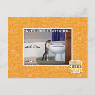 ew postcard
