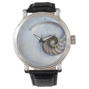 eWatch Watch seashell nautilus shell