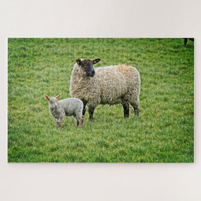 Ewe and Lamb Jigsaw Puzzle (Horizontal)